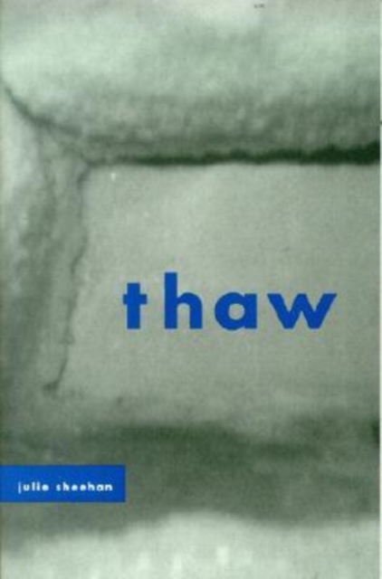 Thaw, Hardback Book