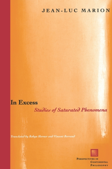 In Excess : Studies of Saturated Phenomena, Paperback / softback Book