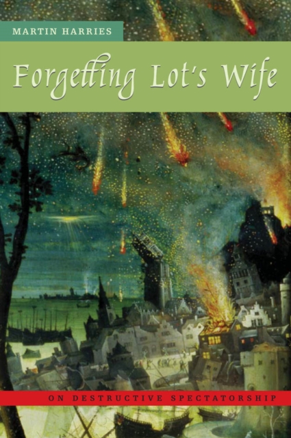Forgetting Lot's Wife : On Destructive Spectatorship, PDF eBook