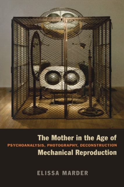 The Mother in the Age of Mechanical Reproduction : Psychoanalysis, Photography, Deconstruction, Paperback / softback Book