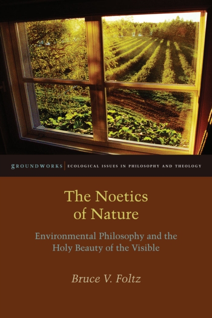 The Noetics of Nature : Environmental Philosophy and the Holy Beauty of the Visible, EPUB eBook