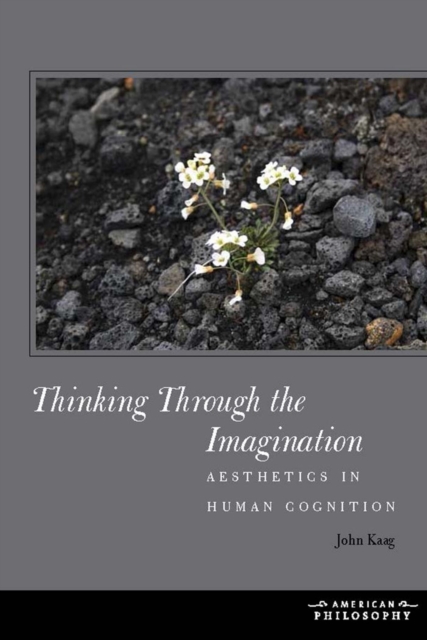 Thinking Through the Imagination : Aesthetics in Human Cognition, Hardback Book