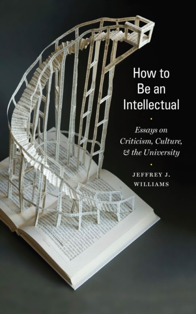 How to Be an Intellectual : Essays on Criticism, Culture, and the University, Paperback / softback Book
