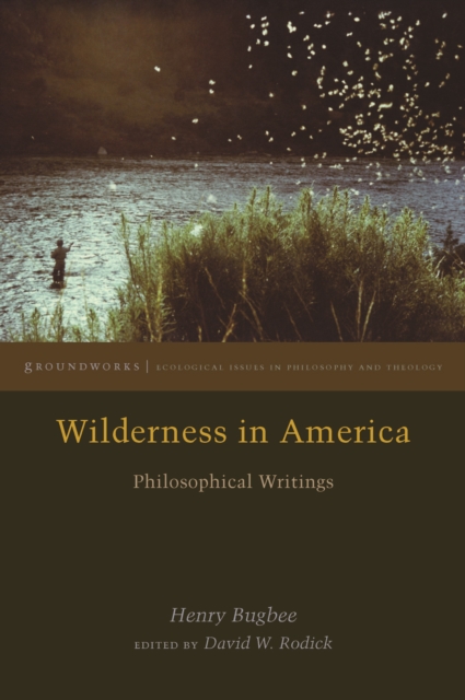 Wilderness in America : Philosophical Writings, Hardback Book