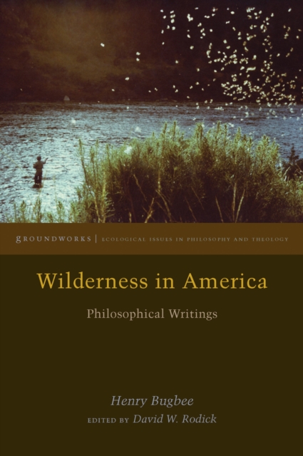 Wilderness in America : Philosophical Writings, PDF eBook