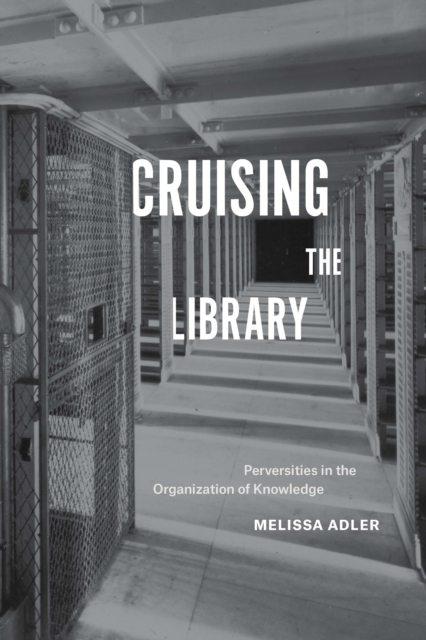 Cruising the Library : Perversities in the Organization of Knowledge, PDF eBook