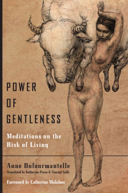 Power of Gentleness : Meditations on the Risk of Living, Hardback Book