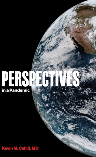 Perspectives in a Pandemic, PDF eBook