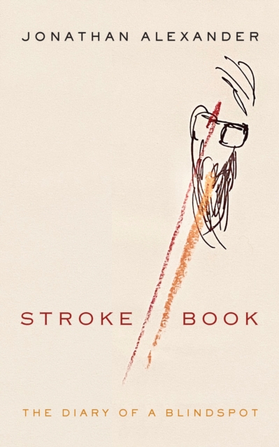 Stroke Book : The Diary of a Blindspot, PDF eBook