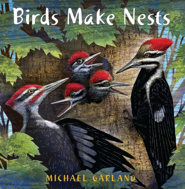 Birds Make Nests, Paperback / softback Book