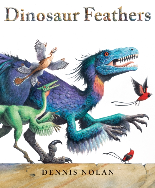 Dinosaur Feathers, Hardback Book