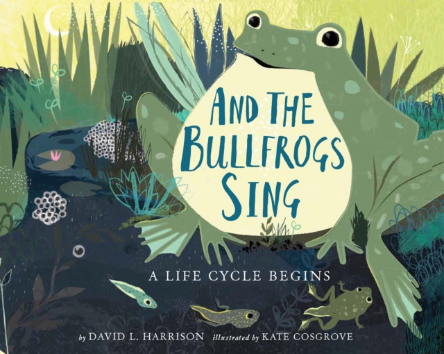 And the Bullfrogs Sing : A Life Cycle Begins, Paperback / softback Book