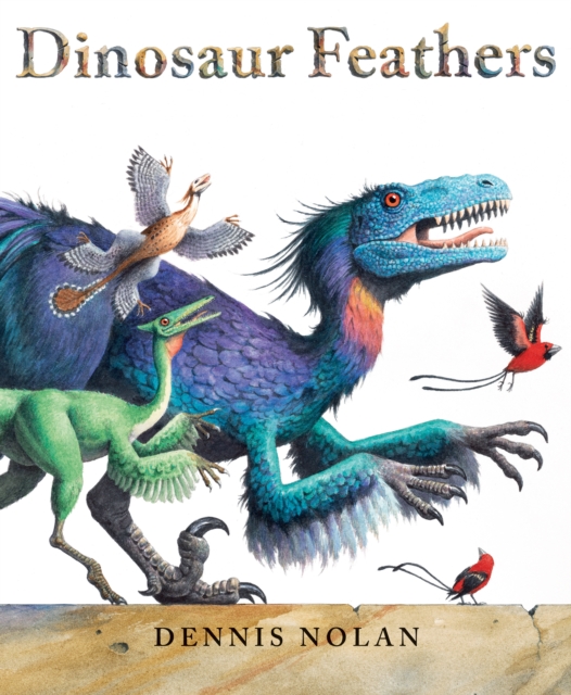 Dinosaur Feathers, Paperback / softback Book