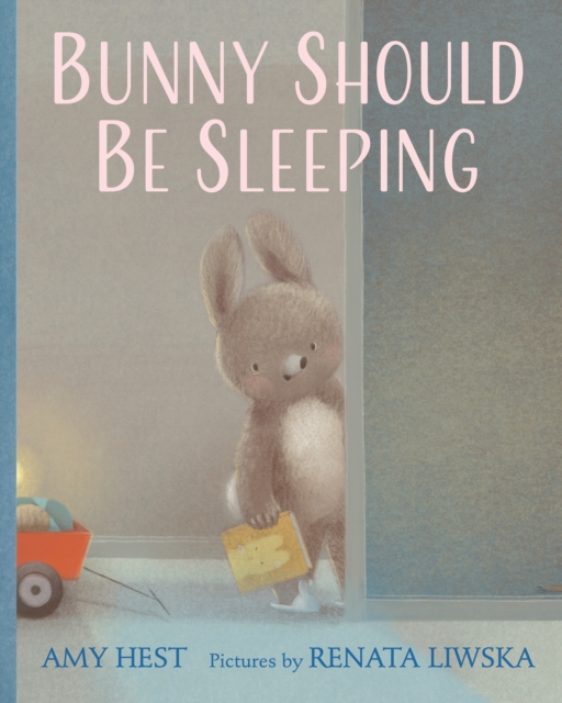 Bunny Should Be Sleeping, Hardback Book