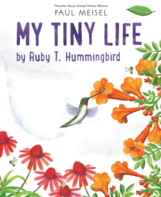 My Tiny Life by Ruby T. Hummingbird, Paperback / softback Book