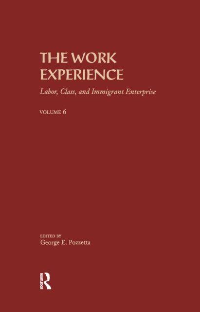 The Work Experience : Labor, Class & Immigrant Enterprise, Hardback Book