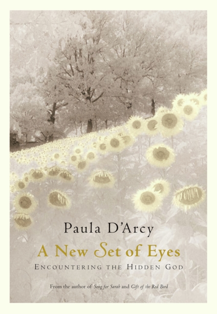 A New Set of Eyes : Encountering the Hidden God, EPUB eBook