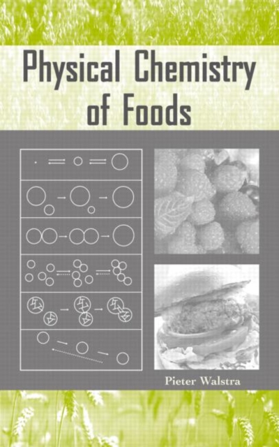 Physical Chemistry of Foods, Hardback Book