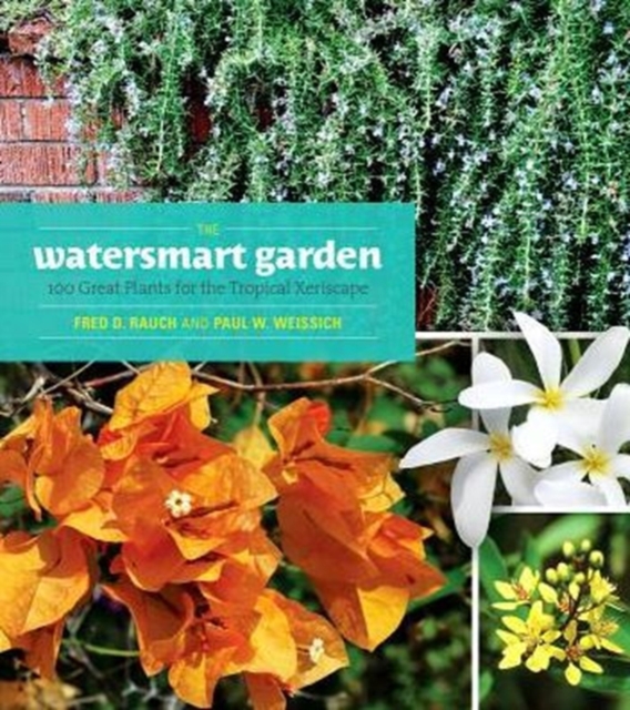 The Watersmart Garden : 100 Great Plants for the Tropical Xeriscape, Paperback / softback Book