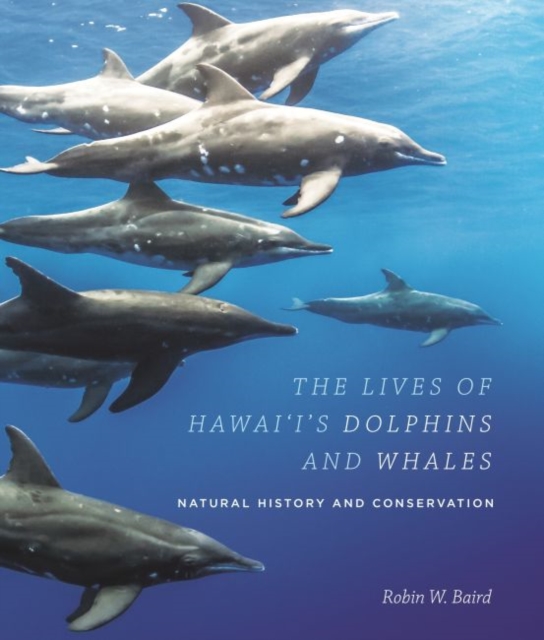 The Lives of Hawai‘i's Dolphins and Whales : Natural History and Conservation, Paperback / softback Book