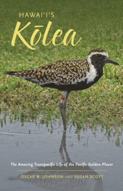 Hawai‘i'sK?lea : The Amazing Transpacific Life of the Pacific Golden-Plover, Paperback / softback Book