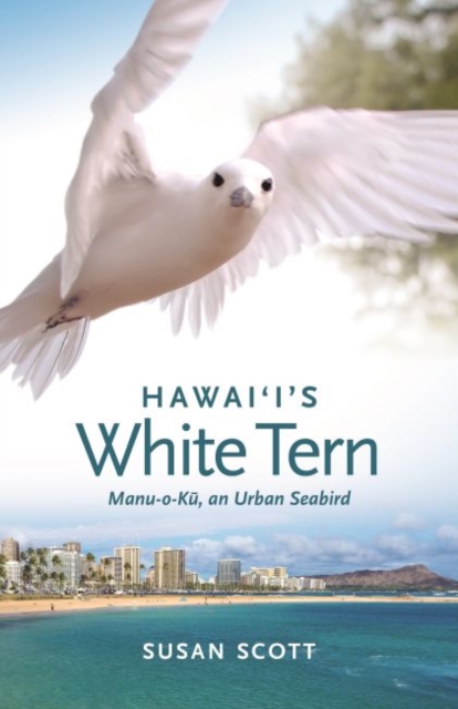 Hawai‘i’s White Tern : Manu-o-Ku, an Urban Seabird, Paperback / softback Book