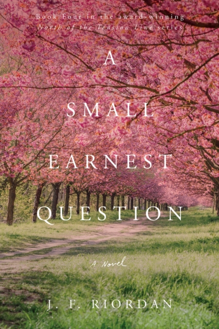 A Small Earnest Question Volume 4, Paperback / softback Book