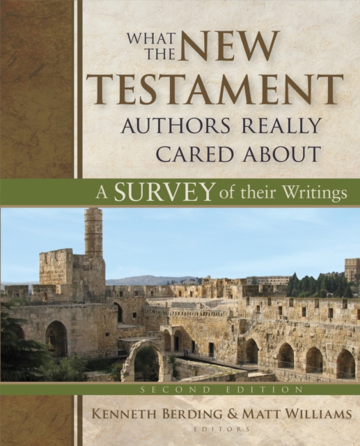 What the New Testament Authors Really Cared About : A Survey of Their Writings, Hardback Book