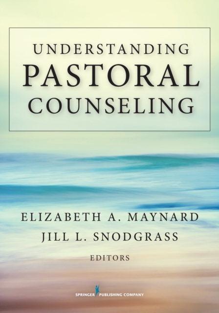 Understanding Pastoral Counseling, Paperback / softback Book