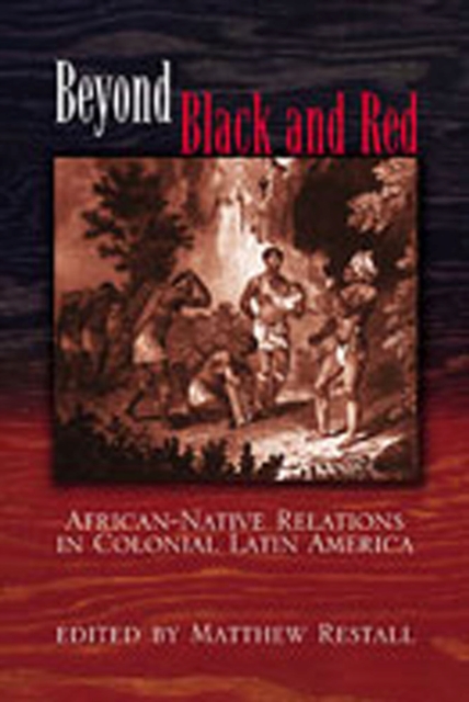 Beyond Black and Red : African-Native Relations in Colonial Latin America, Paperback / softback Book