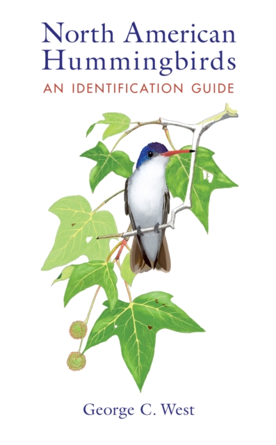 North American Hummingbirds : An Identification Guide, EPUB eBook