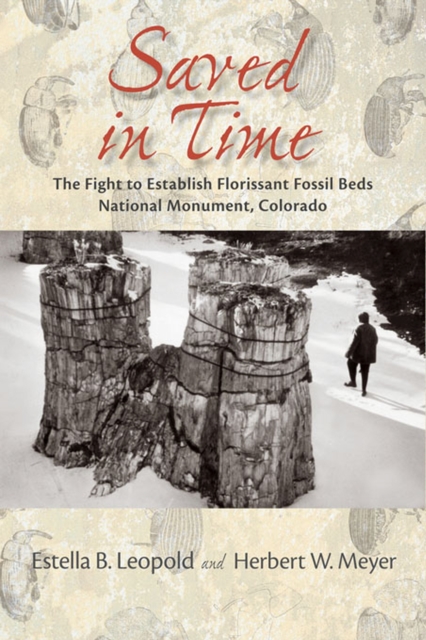 Saved in Time : The Fight to Establish Florissant Fossil Beds National Monument, Colorado, Paperback / softback Book