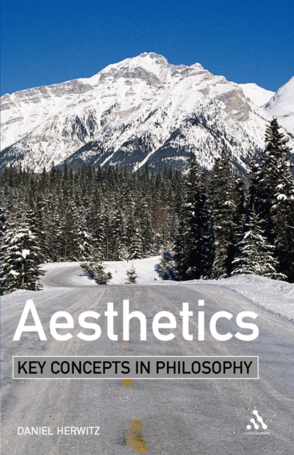 Aesthetics: Key Concepts in Philosophy, Paperback / softback Book