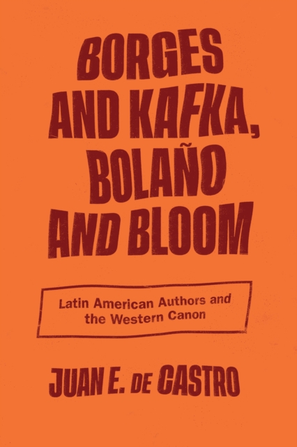 Borges and Kafka, Bolano and Bloom : Latin American Authors and the Western Canon, EPUB eBook