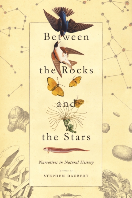 Between the Rocks and the Stars : Narratives in Natural History, EPUB eBook