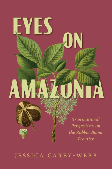 Eyes on Amazonia : Transnational Perspectives on the Rubber Boom Frontier, Hardback Book