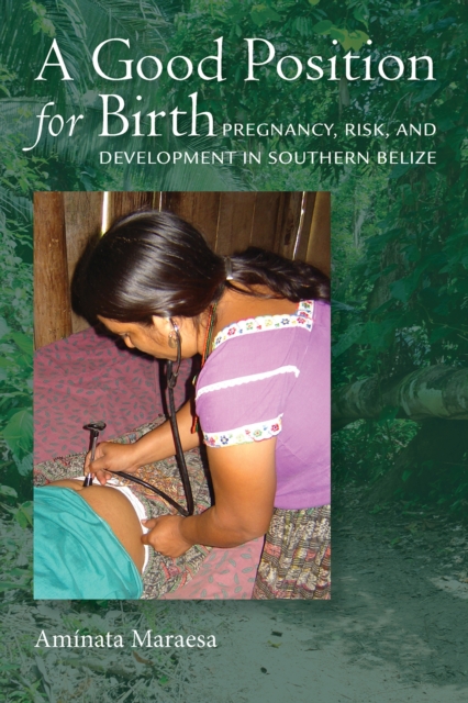 A Good Position for Birth : Pregnancy, Risk, and Development in Southern Belize, Hardback Book