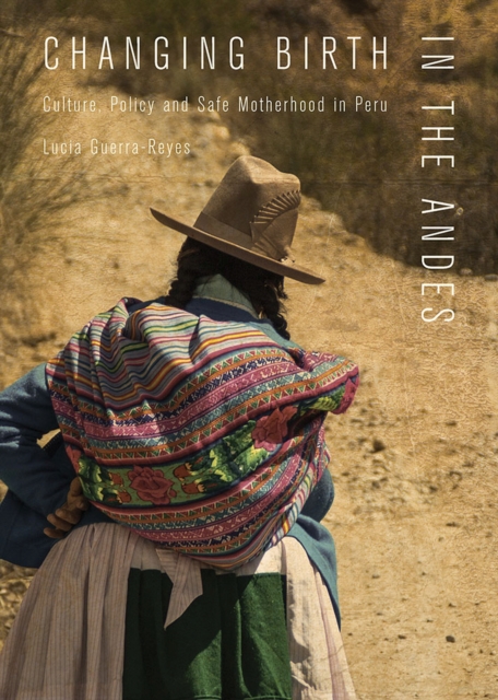 Changing Birth in the Andes : Culture, Policy, and Safe Motherhood in Peru, Paperback / softback Book