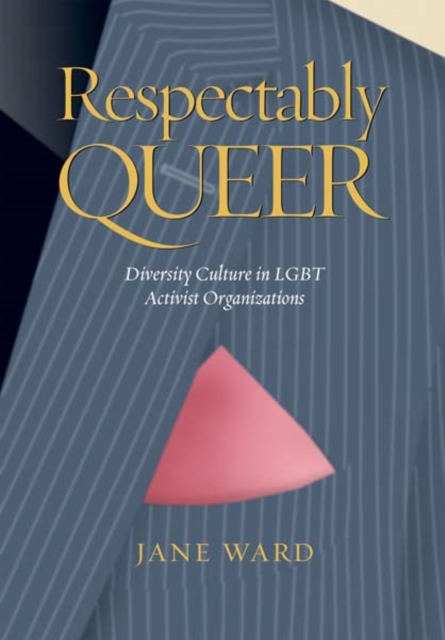 Respectably Queer : Diversity Culture in LGBT Activist Organizations, PDF eBook