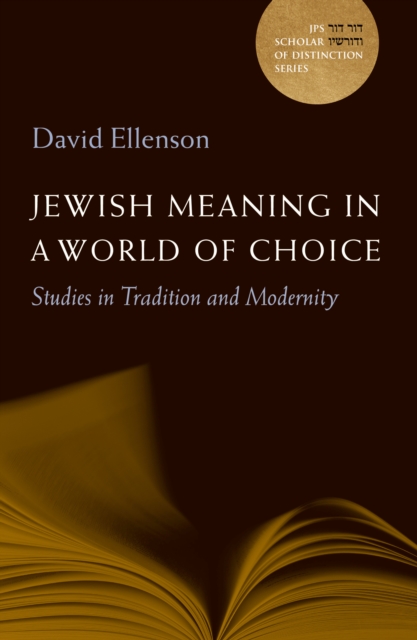 A Jewish Meaning in a World of Choice : Studies in Tradition and Modernity, EPUB eBook