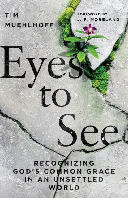 Eyes to See – Recognizing God`s Common Grace in an Unsettled World, Paperback / softback Book
