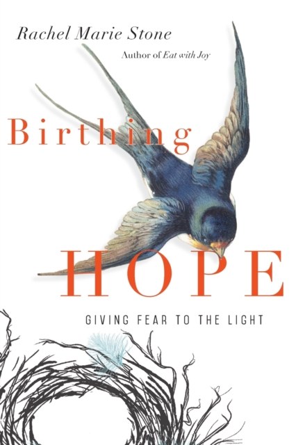 Birthing Hope - Giving Fear to the Light, Paperback / softback Book