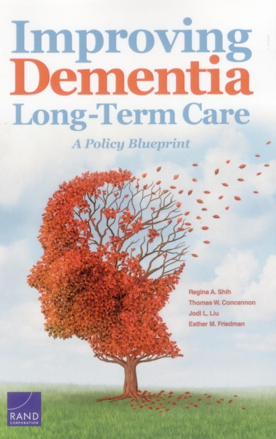 Improving Dementia Long-Term Care : A Policy Blueprint, Paperback / softback Book