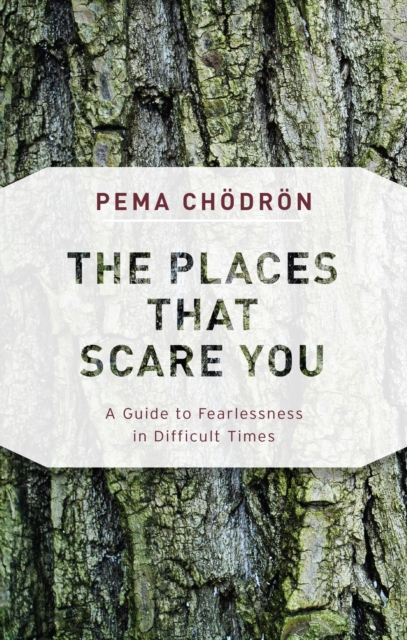 Places That Scare You, EPUB eBook