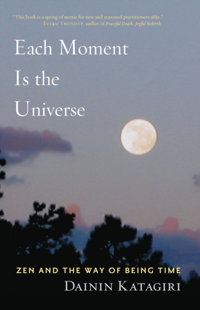 Each Moment Is the Universe, EPUB eBook
