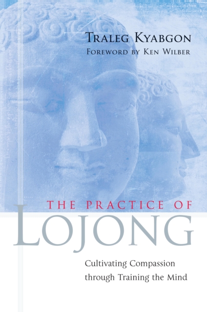 Practice of Lojong, EPUB eBook