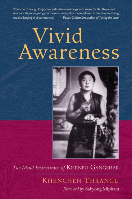 Vivid Awareness, EPUB eBook