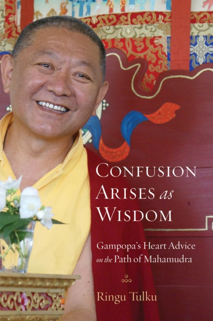 Confusion Arises as Wisdom, EPUB eBook