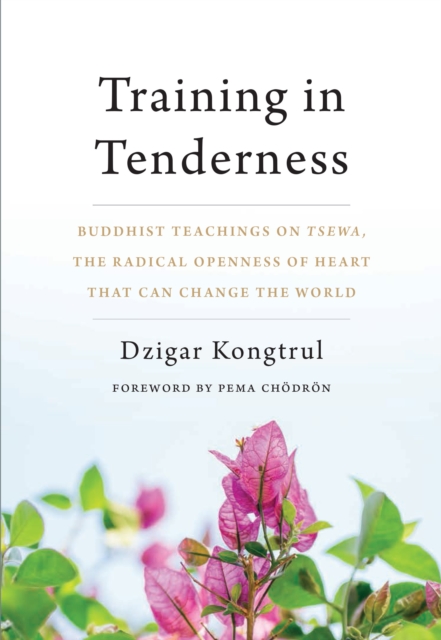 Training in Tenderness, EPUB eBook