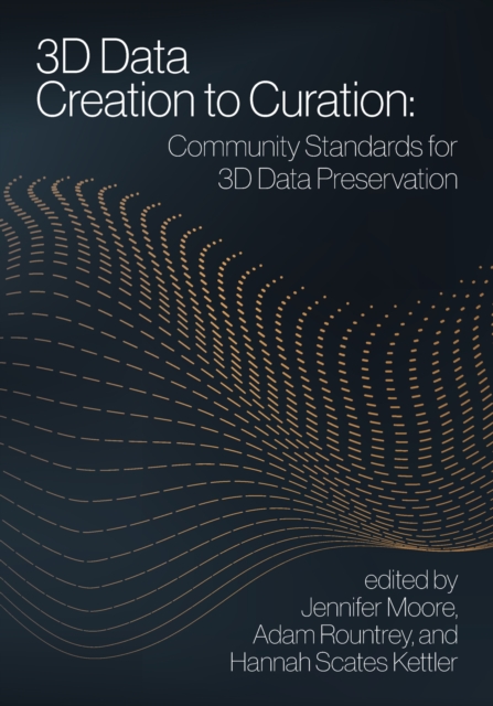 3D Data Creation to Curation : Community Standards for 3D Data Preservation, Paperback / softback Book